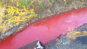 Russia il mistero del fiume rosso sangue