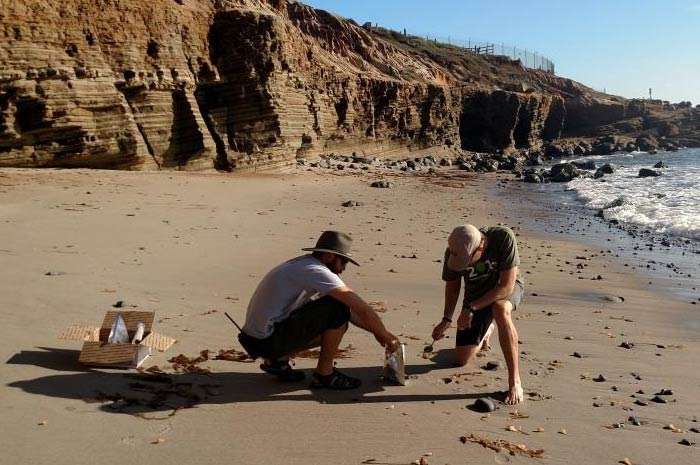 Microplastiche nelle feci umane incredibile studio lo rivela