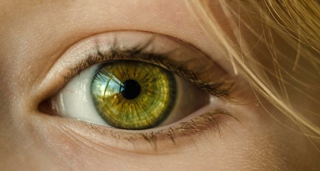 La retina puo rivelare quanto sano il tuo cervello