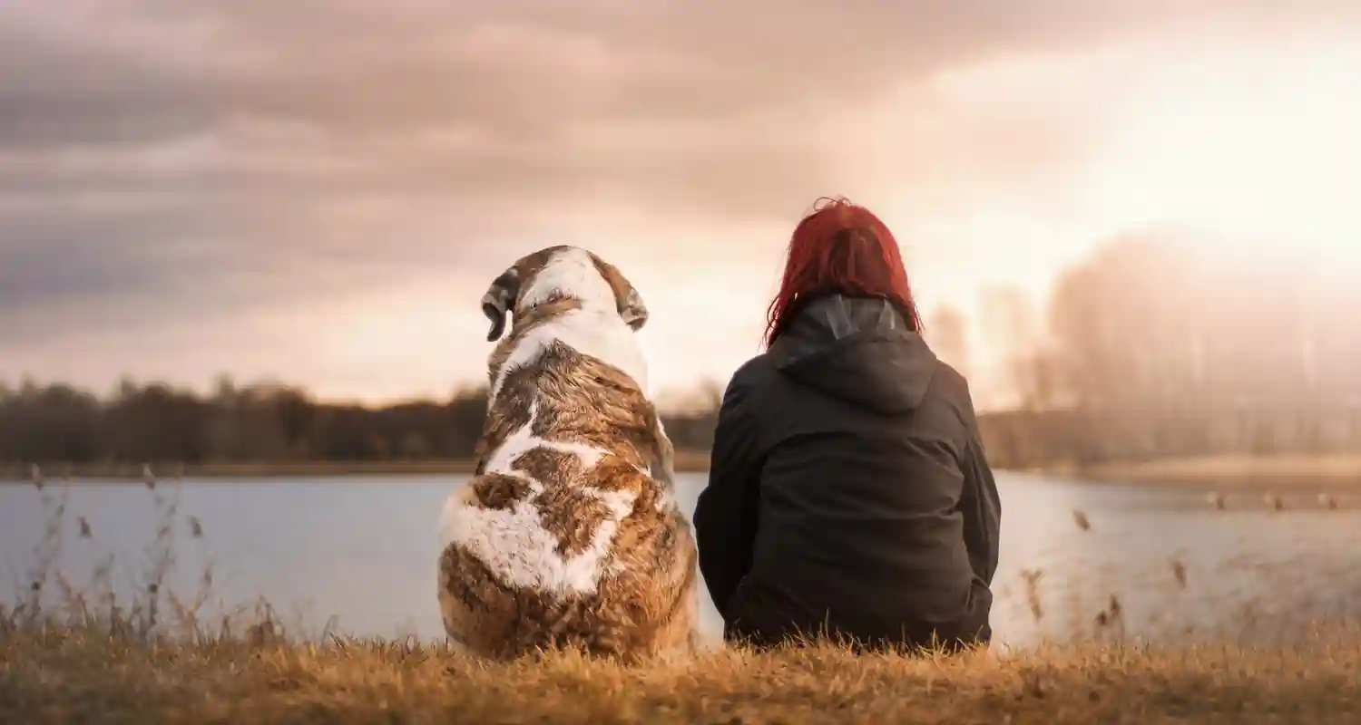 I cani sanno riconoscere le persone affidabili