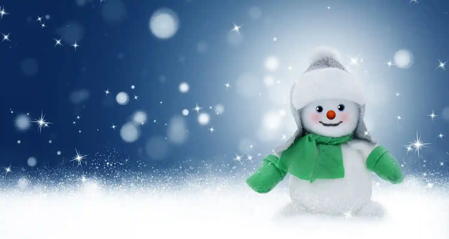 La caduta dei fiocchi di neve segue uno schema preciso