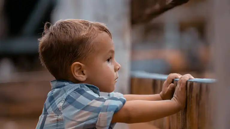 Sognare un bambino maschio sconosciuto interpretazione