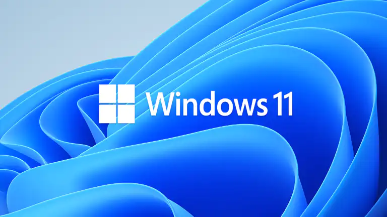 Windows 11 24H2 aggiornamento che blocca Internet per alcuni utenti