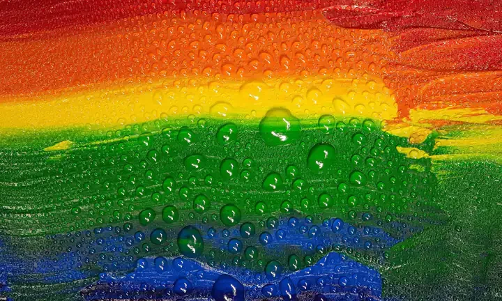 Studenti LGBTI+ a Rischio Triplo di Depressione Analisi della Crisi di Salute Mentale nelle Università